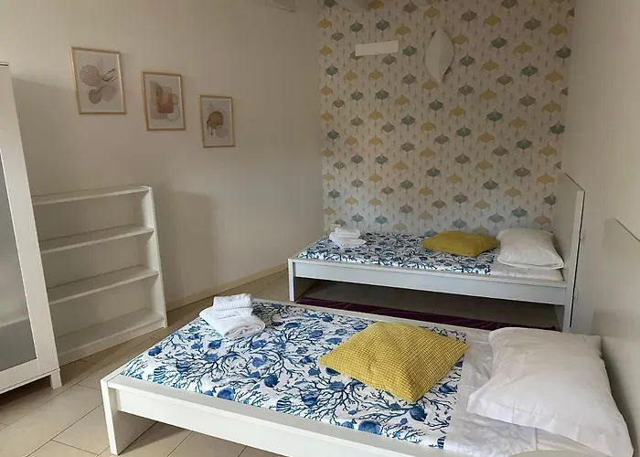 Feel - Accademia Carrara